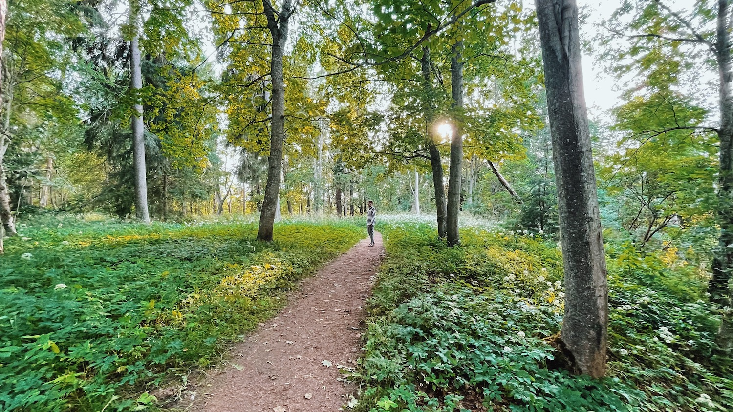 Toila Oru park in Ida-Virumaal, Estonian, Eesti Paigad