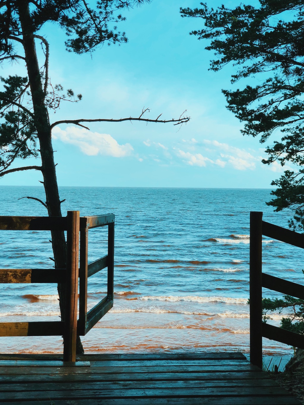 Cumulus beach house in Estonia, barbeque