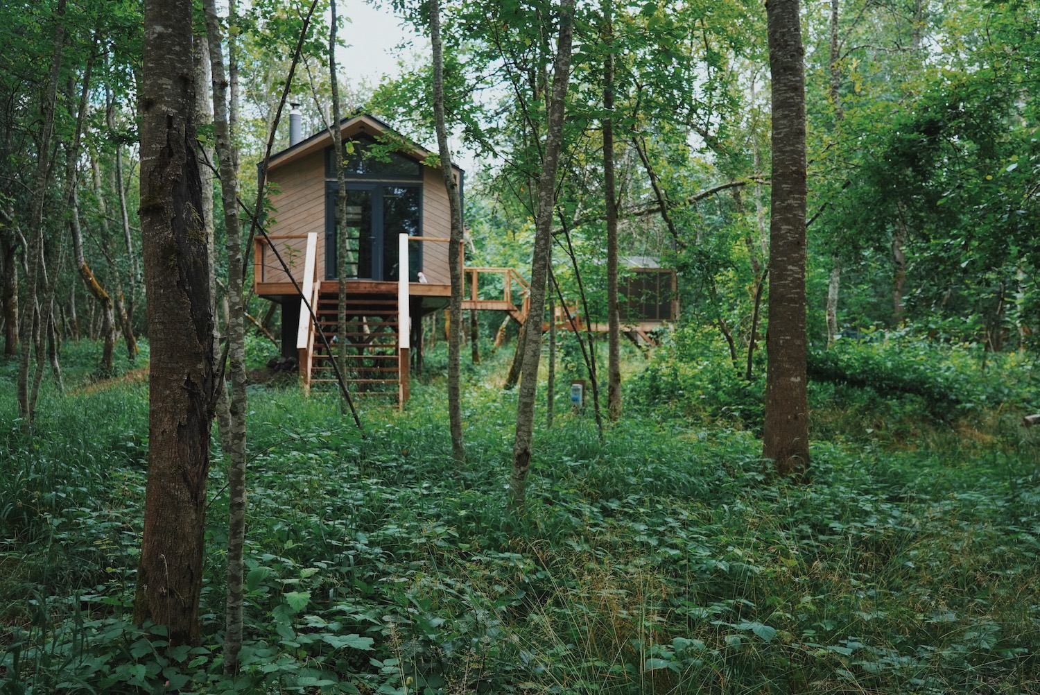 Hekso Treehouse puhkemaja Matsalus metsas metsamaja majutus saunaga, parimad puhkemajad Eestis