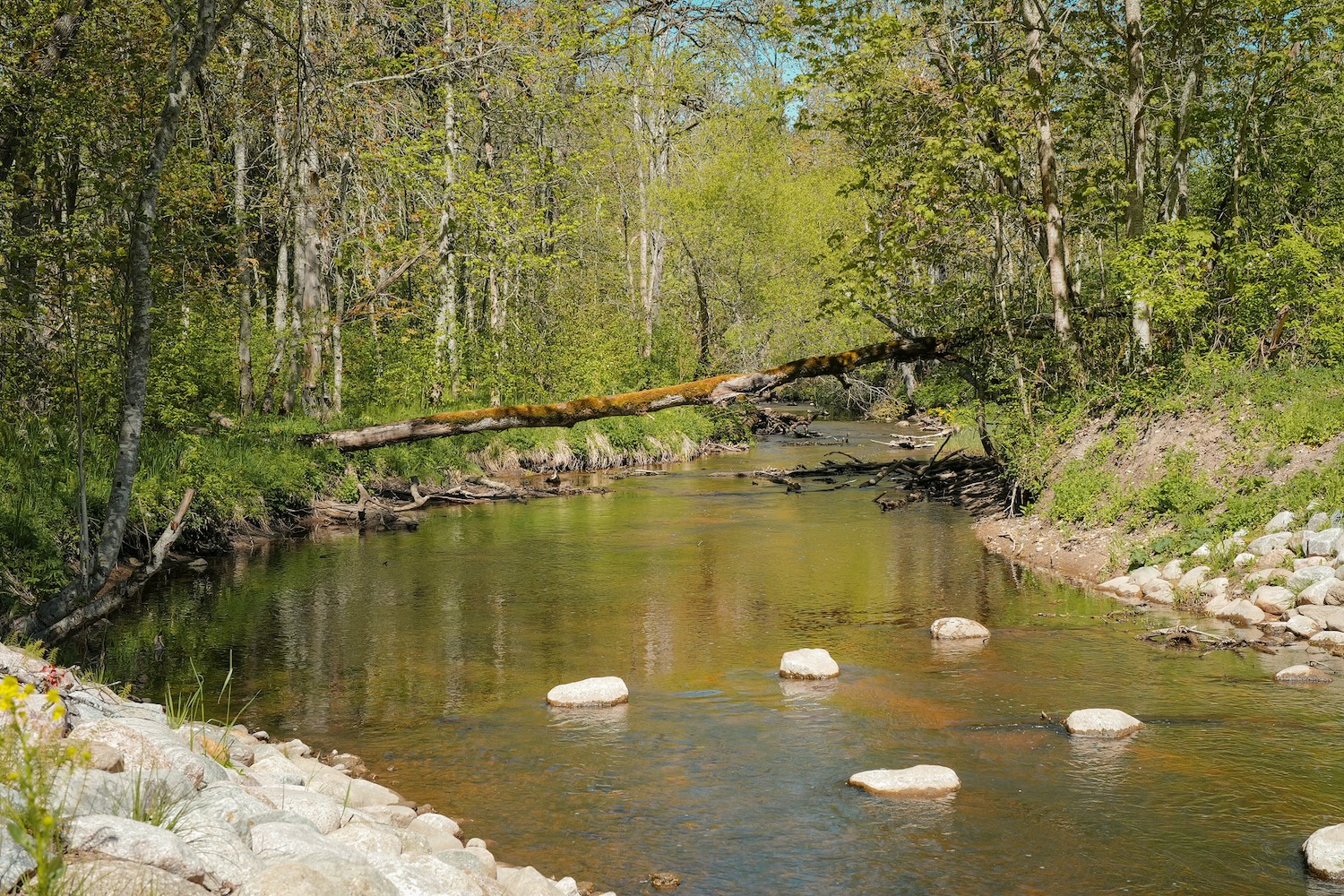 Watermill Resort best holiday homes by the river in Valgamaa, best holiday homes in Estonia