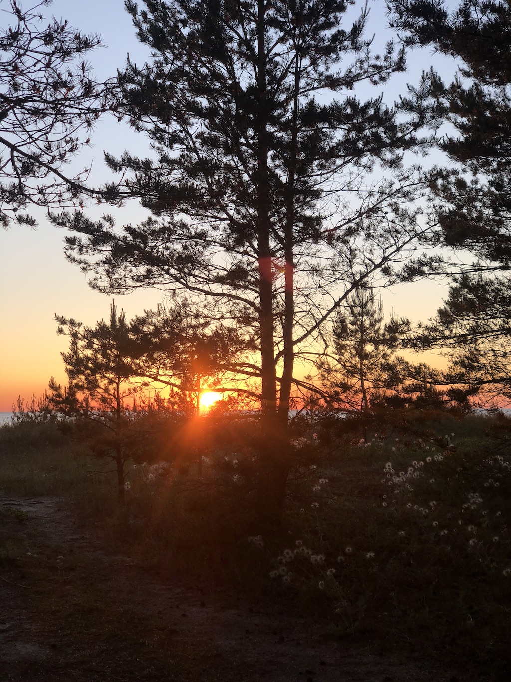 Beautiful Nõva beach in Estonia