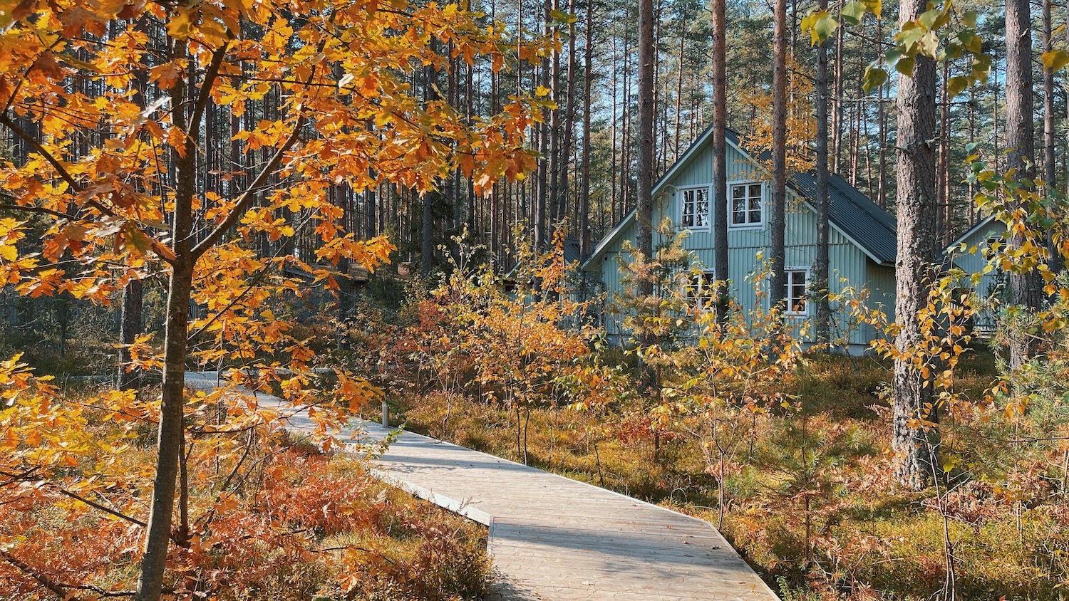 Peipsi puhkemajad perega puhkamiseks, parimad puhkemajad Eestis