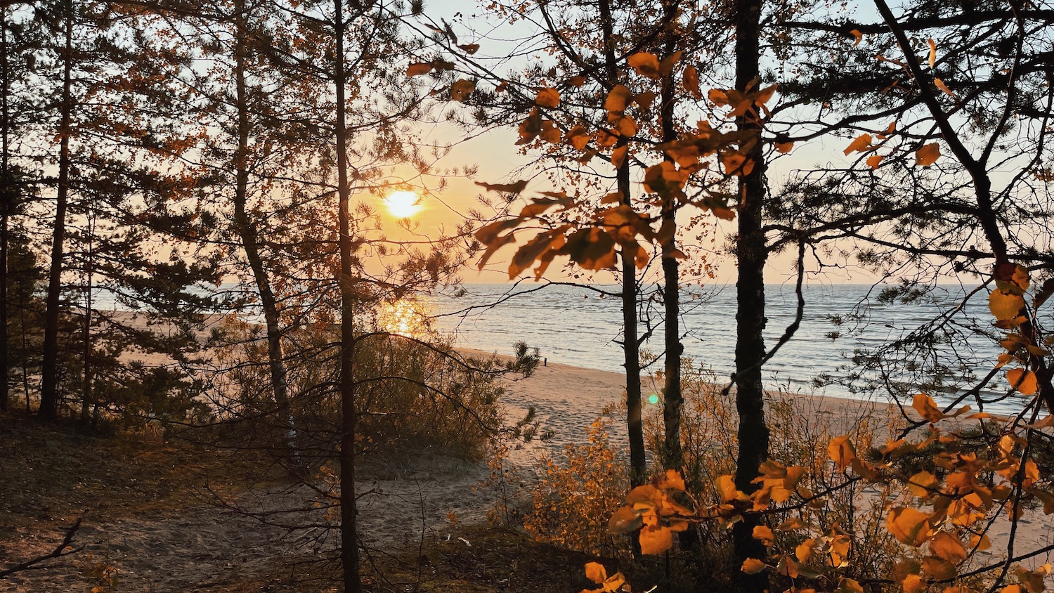 Peipsi puhkemajad perega puhkamiseks Kauksi rannas, parimad puhkemajad Eestis