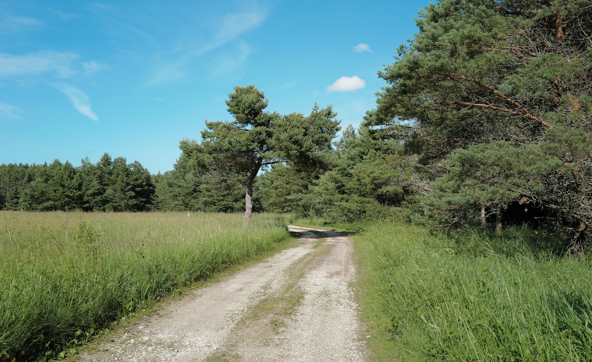 Luxury Ormsö Beach House on Vormsi Island, the best accommodation on Vormsi, the best holiday homes in Estonia