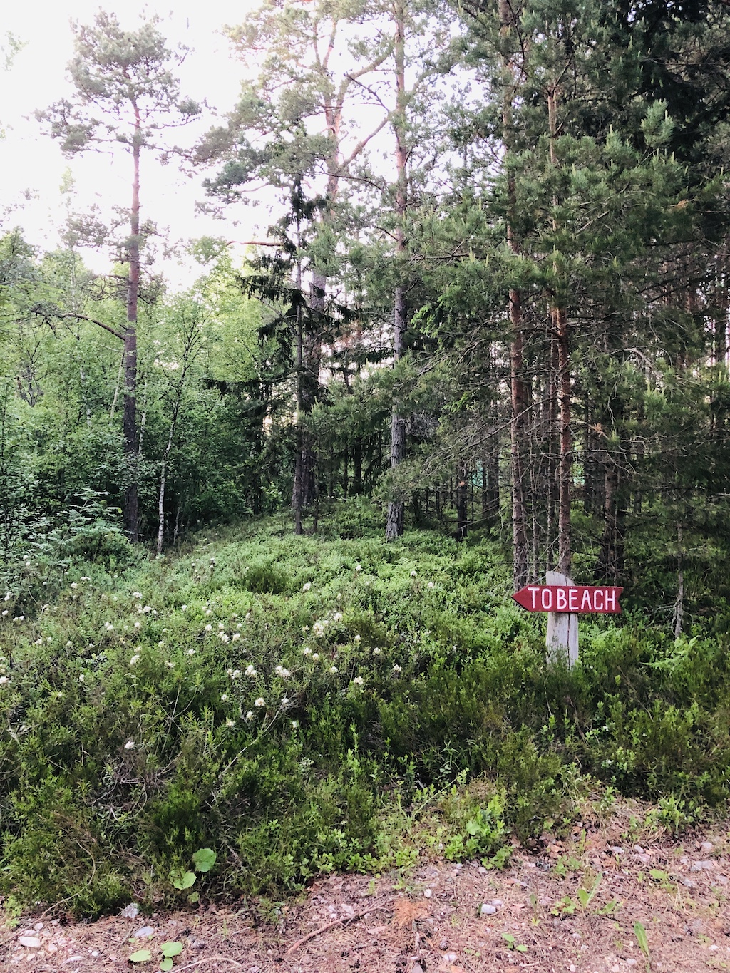 Samblamaa forest cabin in Estonia, To beach