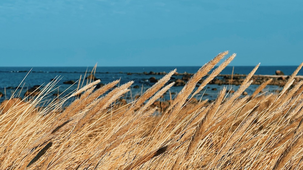 Hiiumaa Tahkuna tuletorn majakas ja mererand, Eesti Paigad